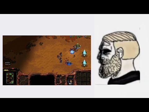 Do men even have feelings? - Starcraft Edition