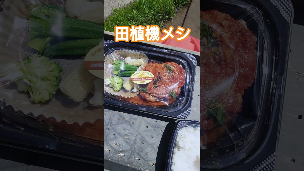 田植機でご飯。