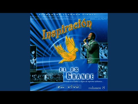 Consolador video