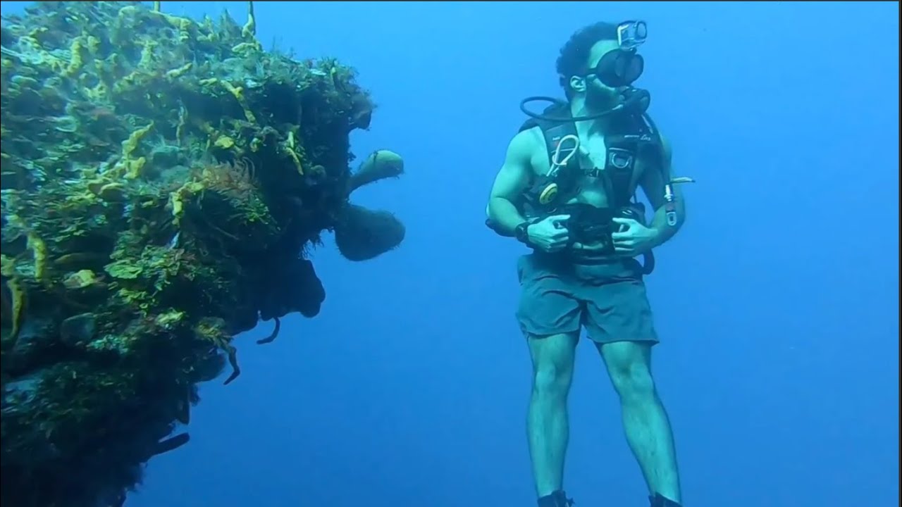 Diving Cozumel's Best Reefs (Yucab, Dalila & Paradise Reef)