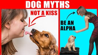 18 Myths About Dogs Debunked (#1 Might Surprise You)