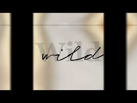 Saveloy Sausage edit