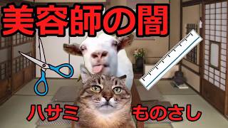 【猫ミーム】美容師だった占い師！！