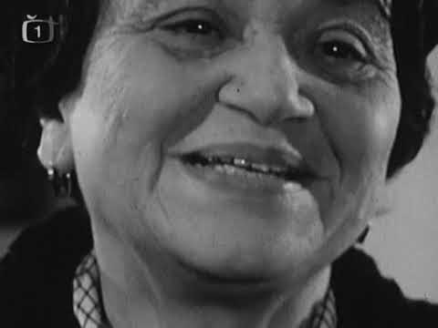 Kamarádi 06 - Jak pomohli Zuzance