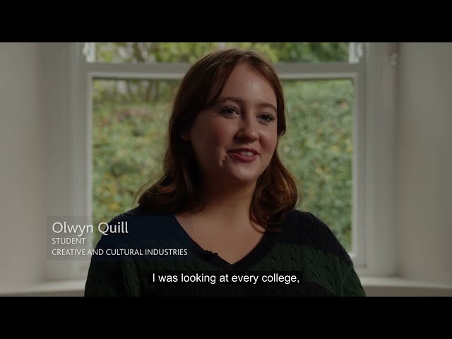 Creative & Cultural Industries - DN530