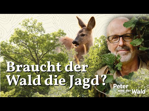 Wald & Jagd: Eine kritische Analyse