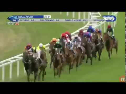 Gold Cup (G 1) 2017 Big Orange