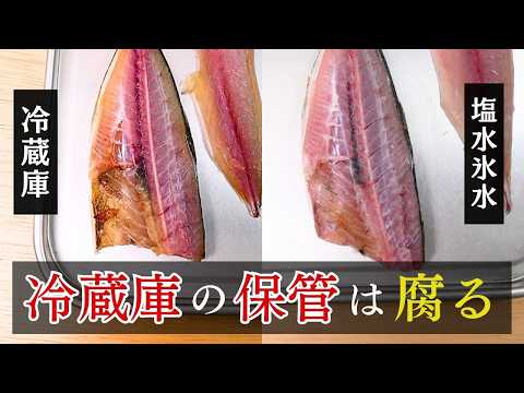 【冷蔵庫で魚を保管すると腐る…】大きな間違いと正しい保存法
