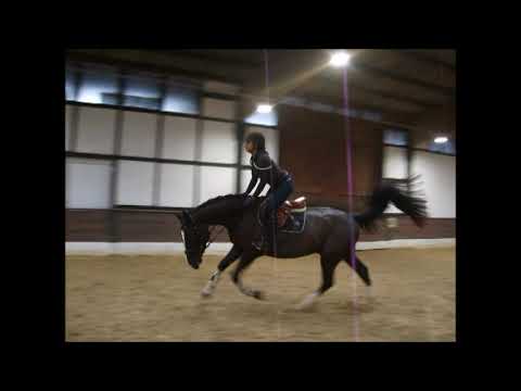 STROLCH 5j. v. Stolzenberg - Lanthan VB 15.000,- Euro