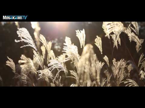 上の原～すすき草原