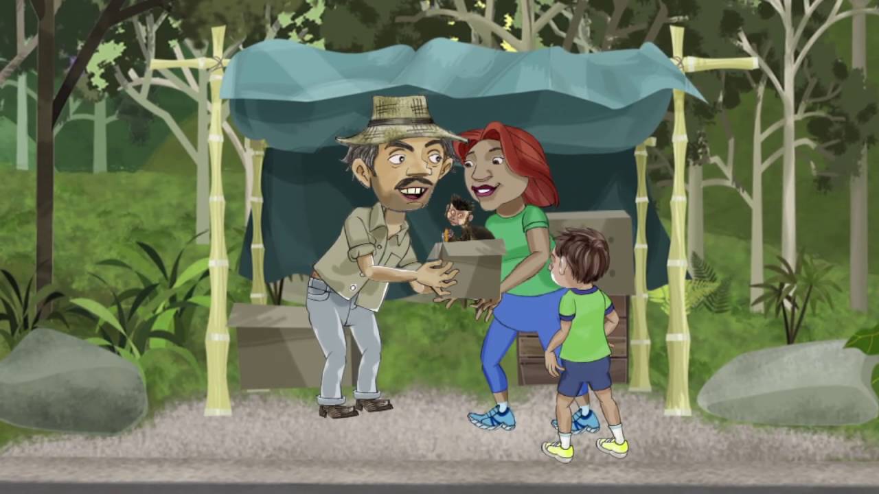 Minuto Ambiental: Fauna Silvestre