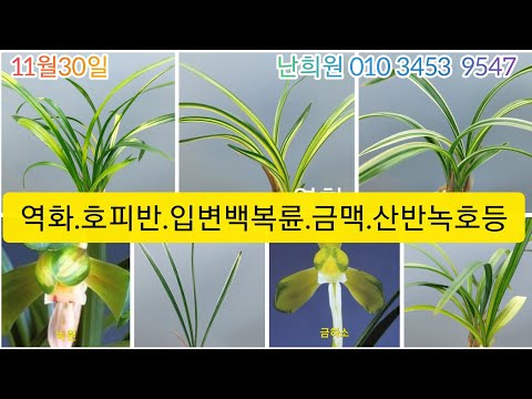 유튜브 썸네일