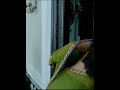 South Indian Actress Anushka Shetty Hot In Green Half Saree Look