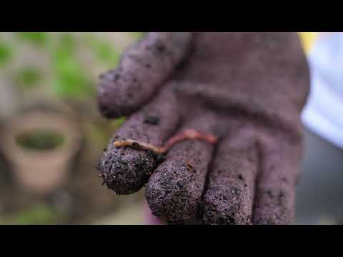 2019-4-15 Gardening 4K 60P