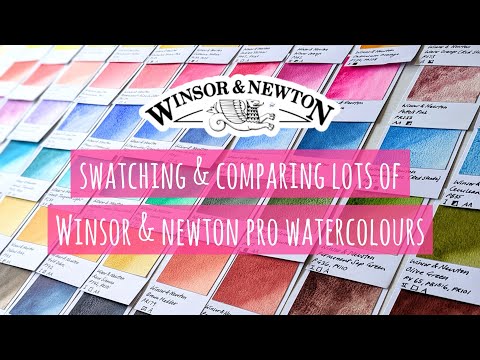 Winsor & Newton Professional Watercolours: Swatching & Comparisons + Full Swatch Folder Look Through