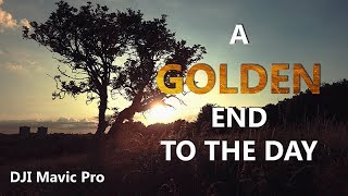 A Golden End To The Day | Sunset Drone Cinematics