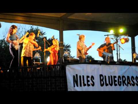 The John Cowan Trio w/ The Dixie Bee-Liners at the Niles Bluegrass Festival