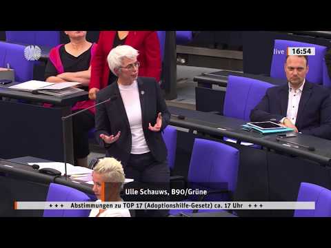 Kurzintervention der Abgeordneten Wiesmann zu meiner Rede zum "Adoptionshilfe-Gesetz"