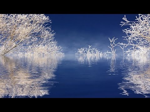 New Age Music: Relaxing Music; Reiki Music; Yoga Music; Relaxation Music; Spa Music;  🌅 014