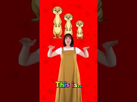 İngilizcede Zıt kelimeler 10 | ER, EST ekleri | #ingilizce #zıtkelimeler #çocuk  #okulöncesi #eğitim