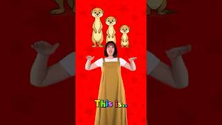 Download lagu İngilizcede Zıt kelimeler 10 | ER, EST ekleri | #ingilizce #zıtkelimeler #çocuk  #okulöncesi #eğitim mp3