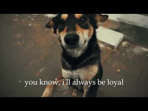 Can i Be Your Friend?