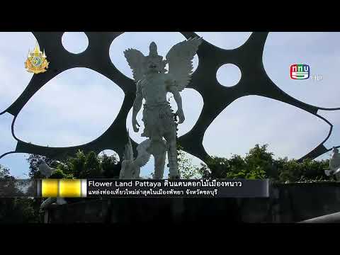 ฟลาวเวอร์แลนด์ พัทยา