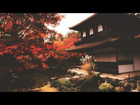 [FREE] FLAMEZ - Shamisen | Hip-Hop Instrumental 2020