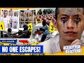 Inside CECOT: The World’s Most Secure Prison for Dangerous Criminals | AceBoyPun Reacts DEFAULT Thumbnail