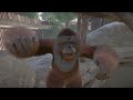 Planet Zoo Bornean Orangutan