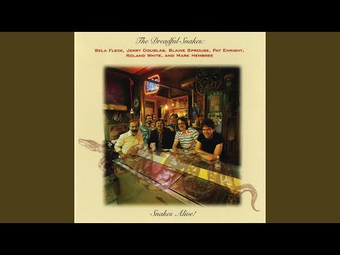 Whos That Knocking At My Door - The Dreadful Snakes