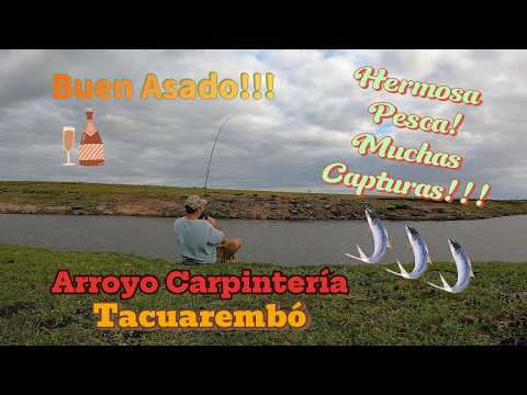 Mucha pesca, campamento y asado a la orilla del arroyo Carpintería Uruguay adentro!!!