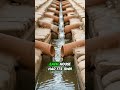 4 000 Year Old Plumbing How The Indus Valley Civilization Revolutionized Sanitation
