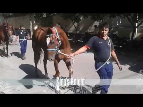 La Marche - 19.05.16