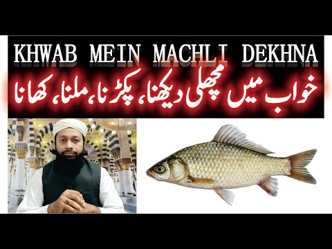 Khwab Mein Machli Dekhna Ki Tabeer | خواب میں مچھلی کھانا | Fish In Dream Meaning |Mufti Saeed Saadi