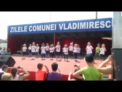 Zilele Comunei Vladimirescu 2014