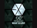 [ACAPELLA+DL] EXO-M - What is Love 
