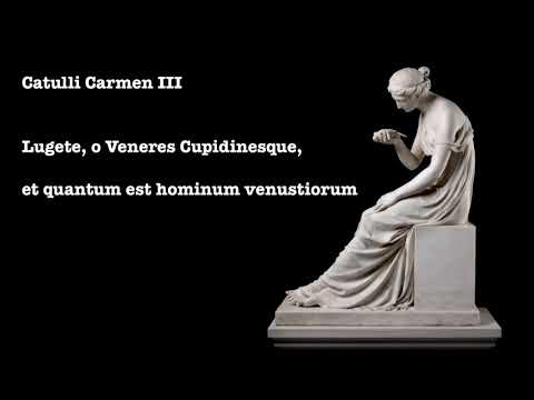 Catullus 3 in Latin & English: Lugete, O Veneres Cupidinesque