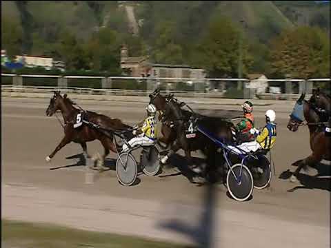 Trotto 19/10/2019 - 2ª corsa