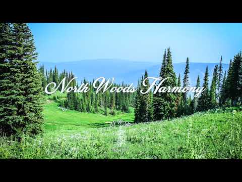 Morning Time ft. (Nicki Bluhm) - The Brothers Comatose