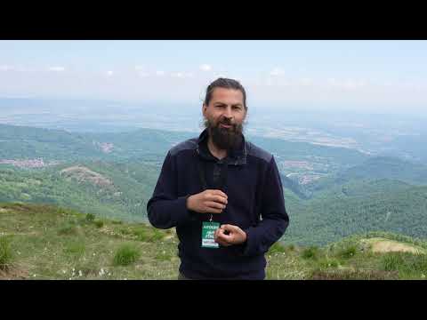 APOLIDE DROPS 2025 | SANTI FRANCESI a PIAN DELLE NERE, CASTELNUOVO NIGRA