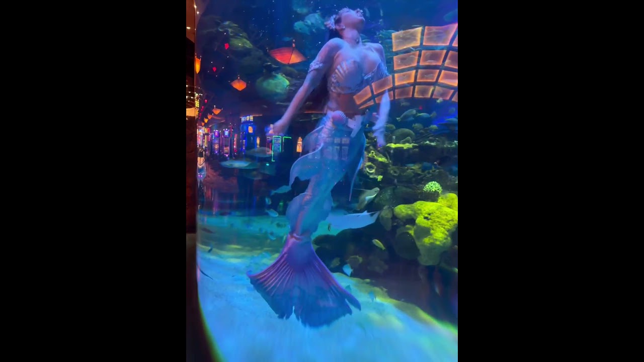 Promotional video thumbnail 3 for Mermaid Opal