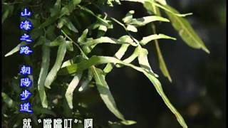 走在台灣的脊樑上【第 12 集】山海之路—朝陽步道