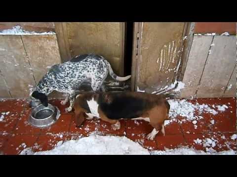 Con questa neve una pappa calda ci vuole