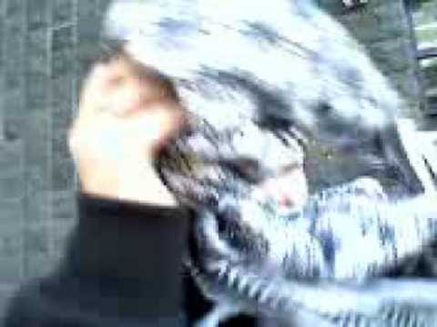 Met Ricardo,Harry,Arthur,Sean en mariska ik Spijk