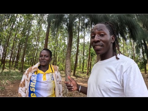 Unexpected Visitor Has Arrived !!! Nyamwini Telenovela 12