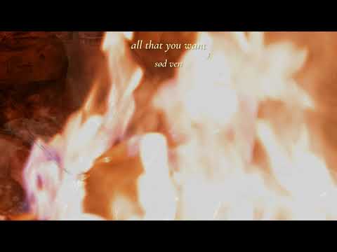 sød ven - all that you want (lyric video)