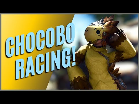 FF14 Guide to Chocobo Racing for Beginners
