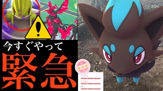 【今すぐにやって⚠️】絶対参加！〇〇で個体値100も！？コレで差が出るゾロアコミュデイの重要ポイント・・。【ポケモンGO・相棒ポケモン・捕獲キャンセル・イベントスケジュール・Pokémon GO】