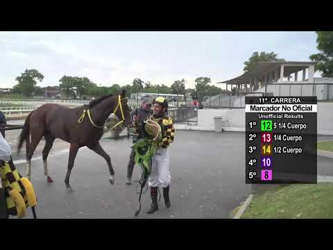 HIPODROMO LAS PIEDRAS 24/10/25 I EN VIVO - URUGUAY